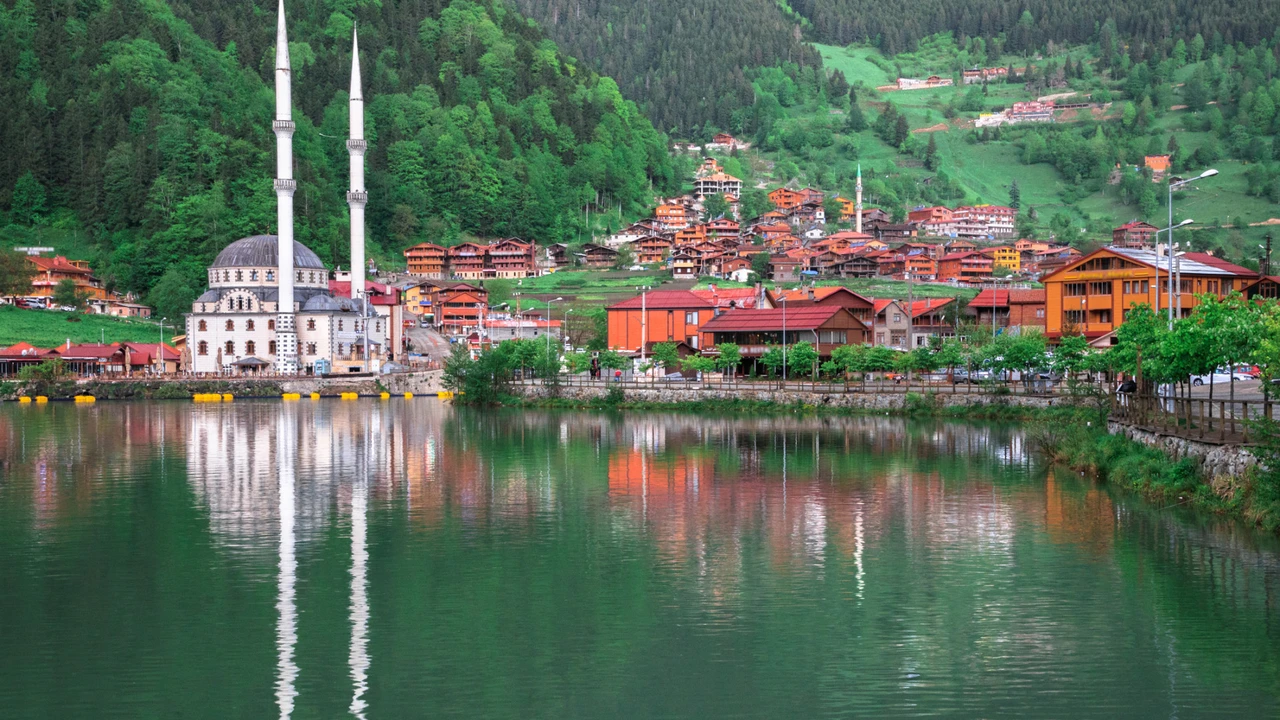 Aéroport de Trabzon